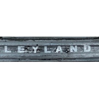 layland_bison_marathon